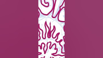 timelapse drawing on android sketchbook app