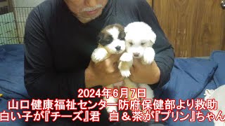 2024年6月7日　山口健康福祉センター防府保健部より救助