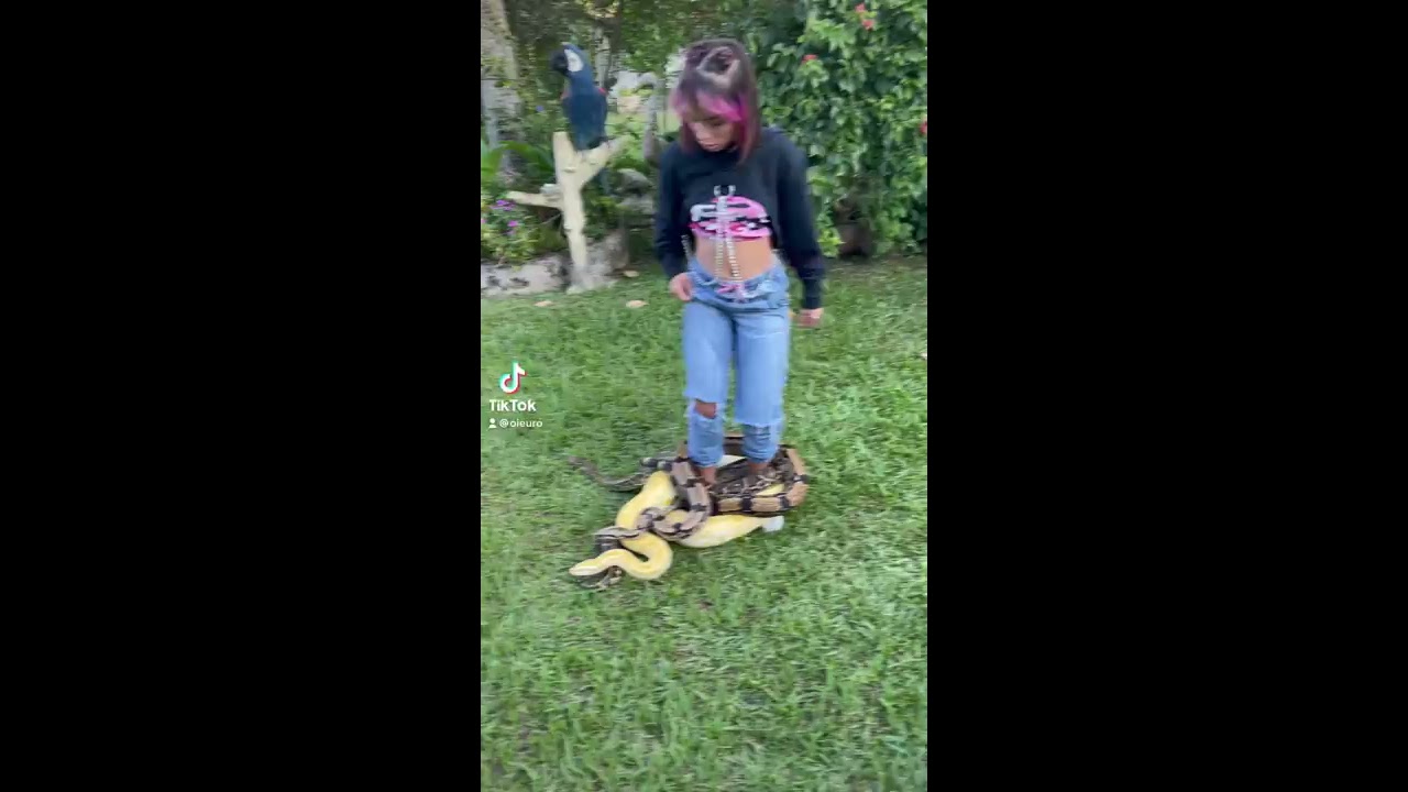 AS COBRAS SE ENROLARAM NA PERNA DE KAMYLINHA 😨🐍 @oieuro