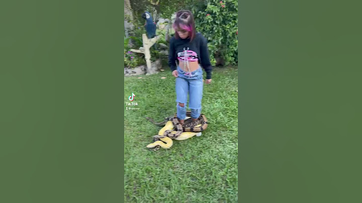 AS COBRAS SE ENROLARAM NA PERNA DE KAMYLINHA 😨🐍 @oieuro