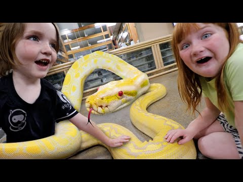 SNAKE ESCAPE in