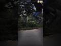skating #jump #short #video