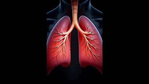 grok video 7a6d6b8a b2e8 4f35 bbb5 cf03ef207c83 #3danatomy #anatomy3d #digestionanimation