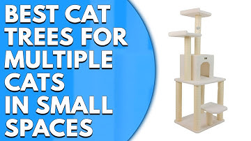 Best Cat Trees for Multiple Cats in Small Spaces: Our Top Picks