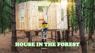 GIANT TREE HOUSE PART 3  HOUSE IN THE FOREST