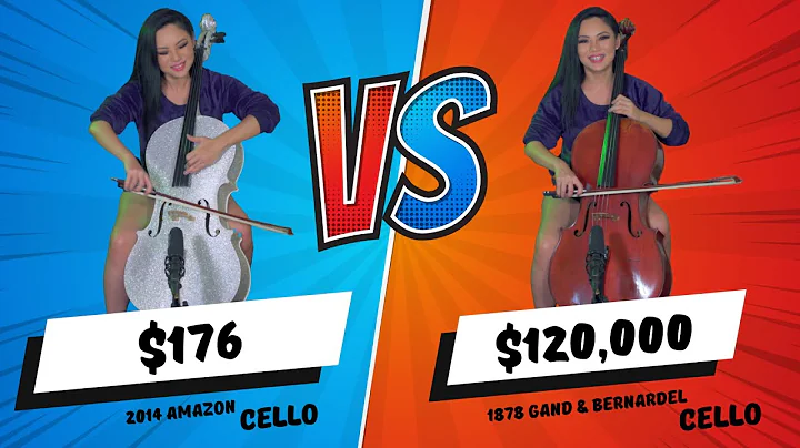 $176 vs $120,000 Cello - Can You Tell The Differen...