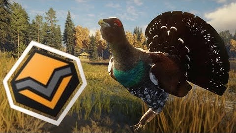 Diamond Dark Western Capercaillie! | theHunter: Call of the Wild