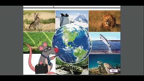 Unit 2 Lesson 1 L & L