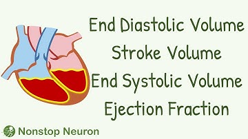 End Diastolic Volume, End Systolic Volume, Stroke Volume, Ejection Fraction