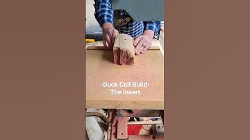 Duck Call Insert Build #woodworking #ducks #mallard