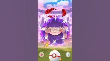 When I got ✨ Shiny Dynamax Sheep 🐑 in Pokemon GO.