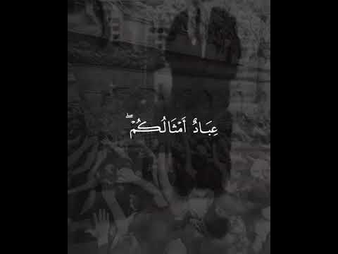 إن الذين تدعون من دون الله عباد أمثالكم ياسر الدوسري