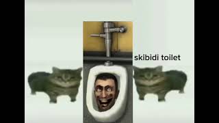 This is a skibidi toilet