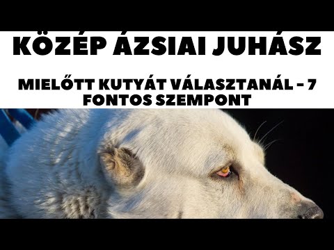 Videó: Miben Különböznek Az ázsiai Juhászkutyák A Többi Kutyától