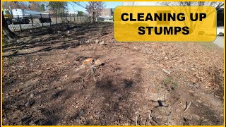 Cleaning up some tree and shrub stumps with a skidsteer root rake