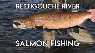 Restigouche River Salmon with Tom Rosenbauer