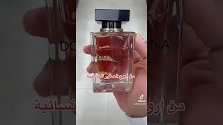 عطر دولسي جبانا ذا ون اونلي