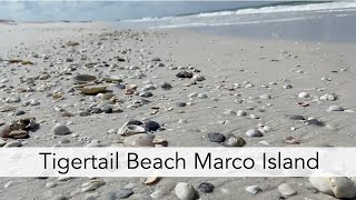 Virtual beach walk at Tigertail Beach Marco Island at low tide.