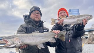 Late Winter Early Spring Michigan Steelhead Fishing On The Grand River At 6th Street Dam