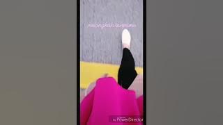 dream chasers-max venison