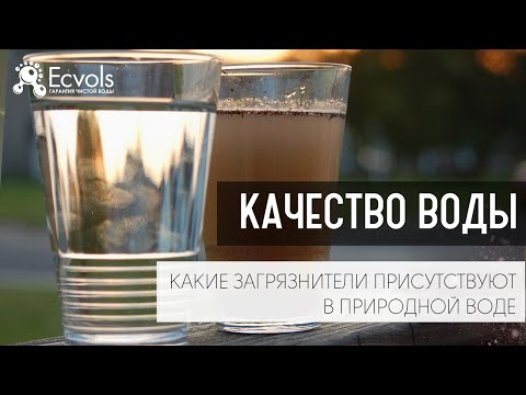 Как проверить качество воды и какие загрязнители присутствуют в природной воде