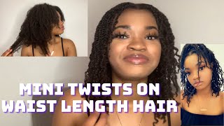 Mini Twist Tutorial on Waist length Hair // Natural Hair // Type 4 Hair // Waist length