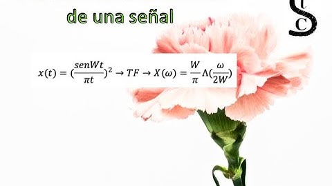 Transformada de Fourier. !La explicación más SENCILLA¡