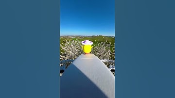 Chicken on the Fly 🐔💨 | Osmo Action + Flip FPV Drone😍