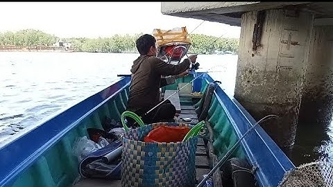 Đầu Nước cá Nâu Ăn Mạnh Toàn cá To/ Chân Trụ Cầu Cao Tốc và Bè Long Thọ