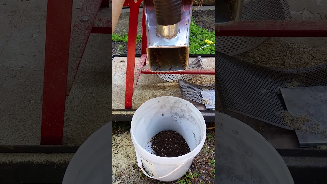 Chicken bedding 2mm 04 YouTube