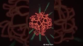 Magichour Text to Video!