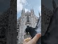 Вера в Бога помогает человеку обрести надежду и внутреннюю силу в сложных ситуациях. Но я атеистка.