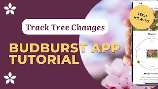 How to Use the Budburst App (Step-by-Step Tutorial) screenshot 3
