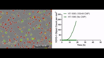 Essen BioScience - CellPlayer Kinetic Cytotoxicity Assay - HT1080 CMP