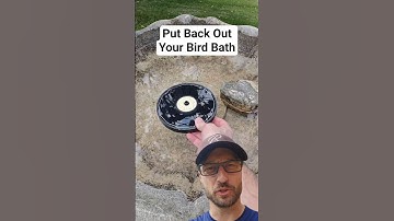 Put Your Bird Bath Back Out! #birdbath