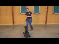 Giant Schnauzer Female &quot;Yasmine&quot; 16 1/2 Months Fun Obedience Training/Development