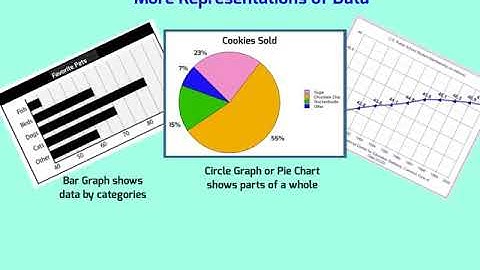 Using Data in Bar and Circle Graphs