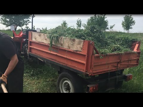 Видео: Июнь - Будни фермера. Привезли травы. Подрезали копыта козам и ослику. Уралец и роторная косилка