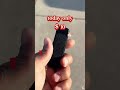 1393516873778179