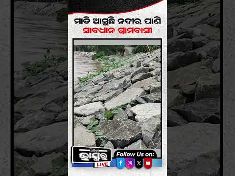 ନଦୀରେ ବଢୁଛି ଜଳସ୍ତର,ଭୟଭୀତ ଅବସ୍ଥାରେ ଗ୍ରାମବାସୀ #ytshorts #shortsvideo #jajpur #FloodAlert #HeavyRain