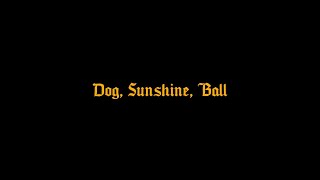 Dog, Sunshine, Ball | Sony A6700 | Cinematic | Dehancer screenshot 2