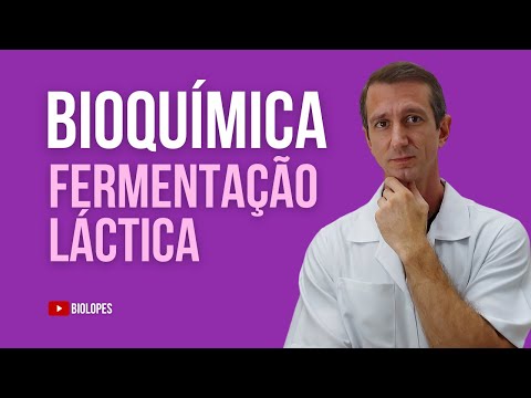 Vídeo: Por produtos da fermentação láctica?