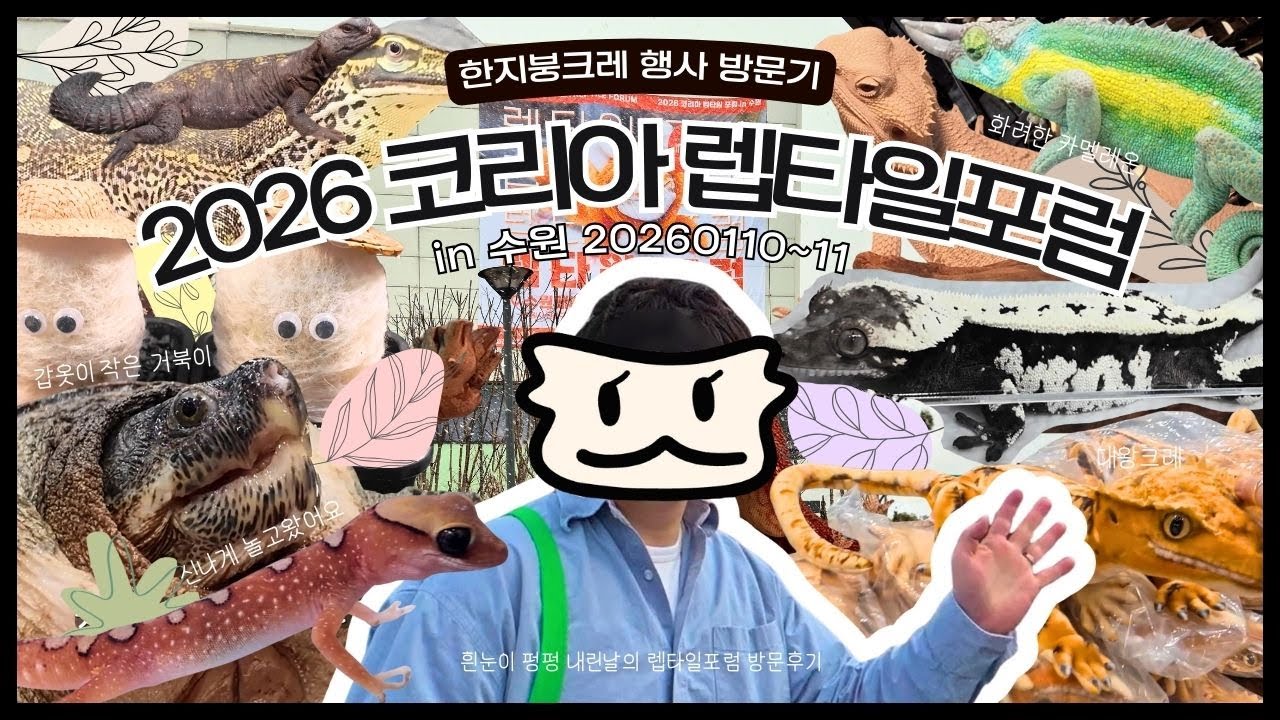 [2026 코리아렙타일포럼] 수원메쎄 첫날 다녀왔습니다! 🦎 희귀 파충류 & 식물존 총정리 (feat. 한지붕크레)