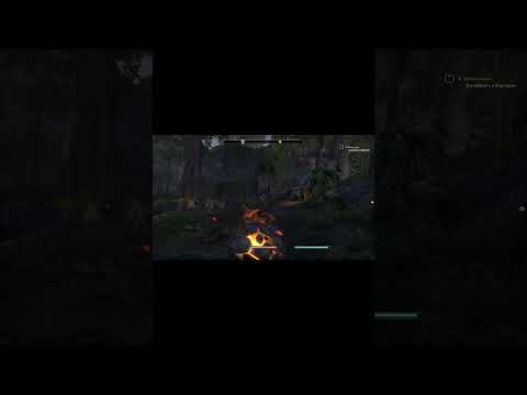 Как будто приведения! TES Online #игры #мыслибездушного #teso  #tesoletsplay #юмор #games