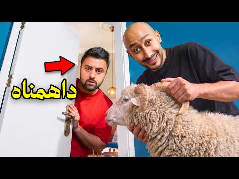 داهمت اعضاء باور بأغرب الاشياء !