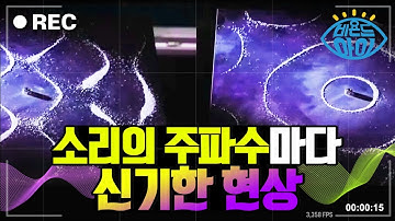 소리를 보다, 주파수의 비밀👂 [#비욘드아이컷] / YTN 사이언스