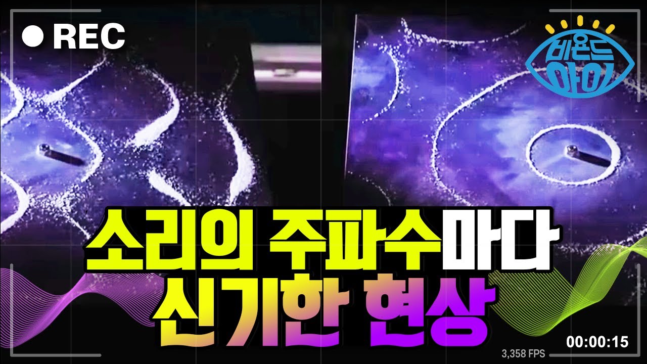 소리를 보다, 주파수의 비밀👂 [