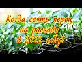 Когда сеять перец на рассаду в 2022 году?