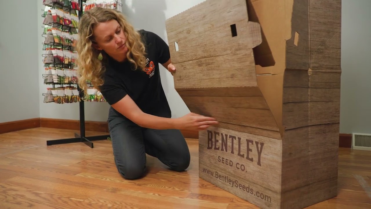 Bentley Seed  Display Rack Setup - 500 packet Display