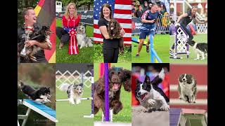 The 2023 Agility World Championship Experience by Bad Dog Agility 3,582 views 7 months ago 32 seconds